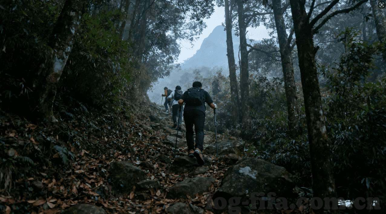 18年世界杯预测彩票-18年世界杯预测彩票，一场激情与智慧的碰撞